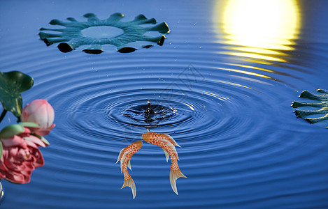 鱼跳出水面中国风荷花与鱼水墨背景设计图片