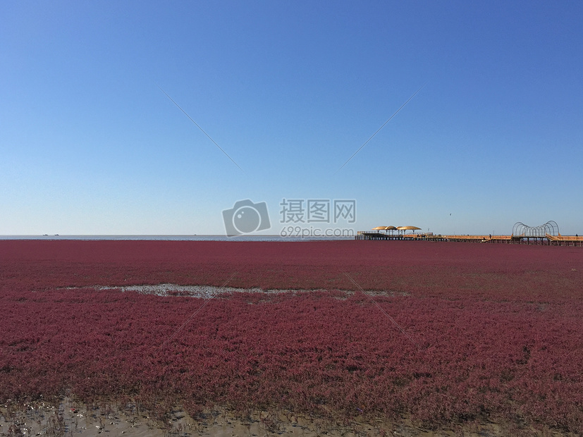 红海滩图片