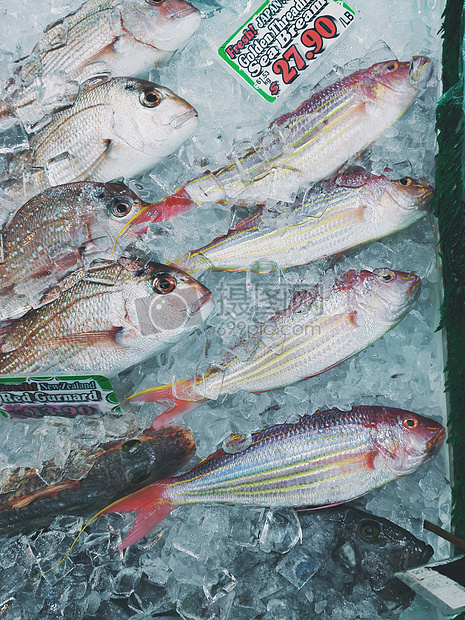 鱼市上冷冻的新鲜鱼图片