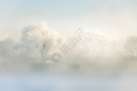 松花江上清晨的雾凇图片