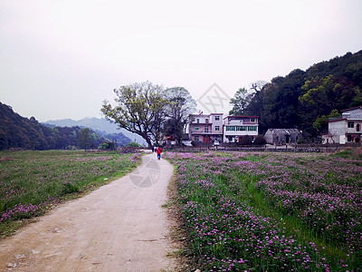 美丽的风景星空进坑高清图片