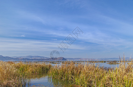 鹤湖围村滇池湿地背景