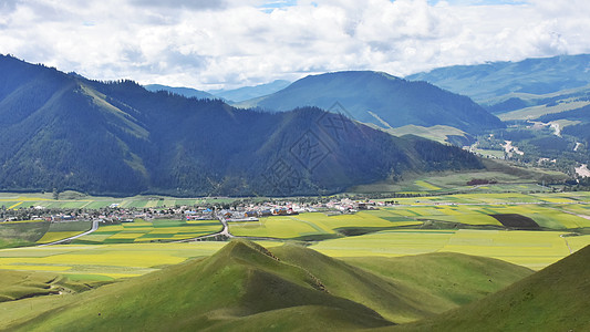 草原山坡图片