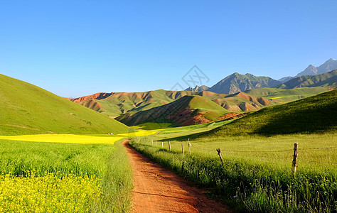 彩色山祁连卓尔山背景