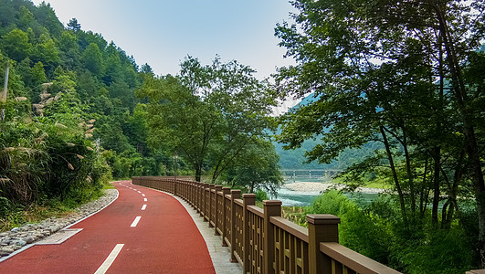 绿树青团绿道跑到美丽乡村背景