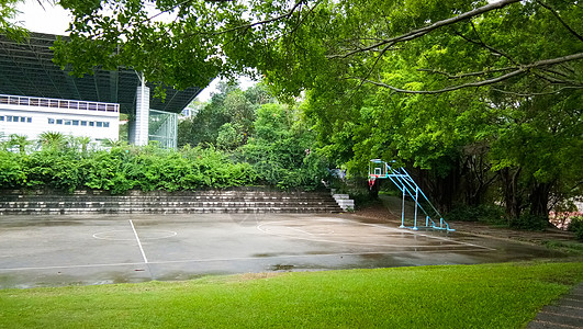 绿树掩映下的篮球场背景图片