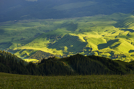 新疆日落草原山脉森林线条图片