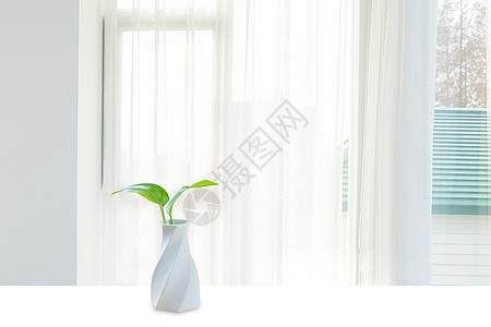 窗台水培绿植背景图片