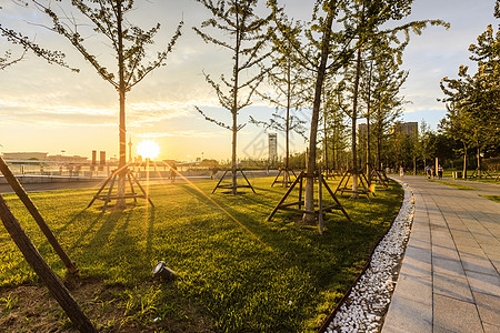 落日公园阳光明媚的下午高清图片