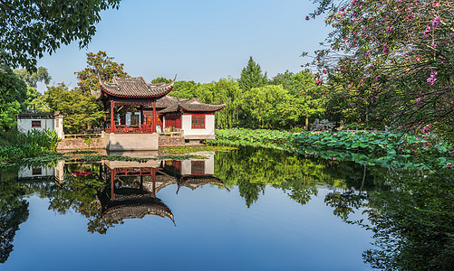 夏季荷塘与古建筑高清图片