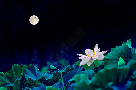 月亮背景照片 月亮背景背景 月亮背景摄影图片下载 摄图网 月亮背景照片 月亮背景背景 月亮背景摄影图片下载 摄图网