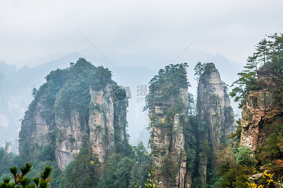 雨后张家界图片