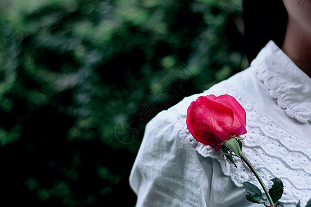 情人节收到玫瑰的女人图片