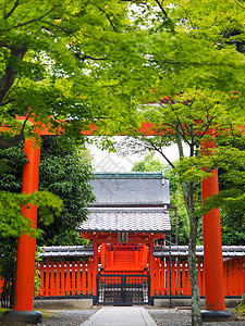 日本禅宗清水寺背景