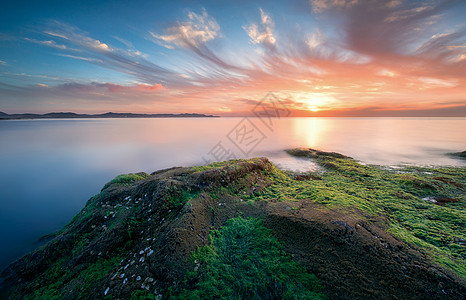 插画秋天大海绿苔火烧云背景