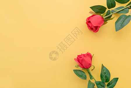 灞柳情素材浓情玫瑰花背景