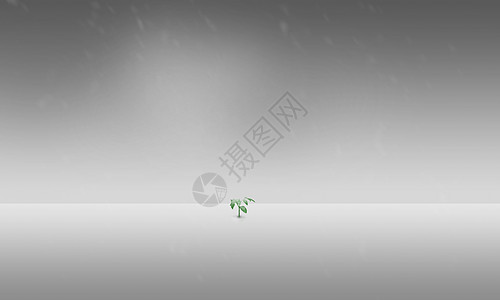 空旷的冬天小草树苗屹立在雪景雪地简约极简背景图片