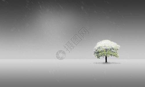 空旷的冬天一棵树屹立在雪景雪地简约极简背景背景图片