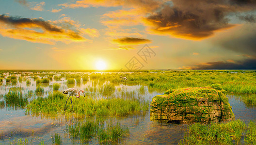 湿地夕阳图片