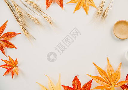 秋天枫叶文艺图片背景图片