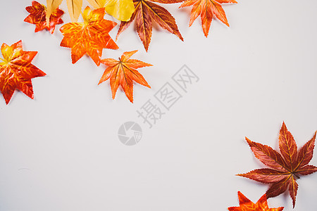 红叶背景照片 红叶背景背景 红叶背景摄影图片下载 摄图网 红叶背景照片 红叶背景背景 红叶背景摄影图片下载 摄图网