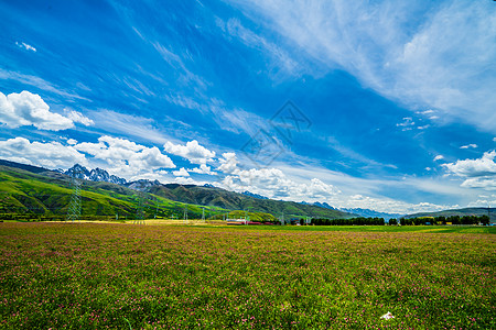 路边草地四川317国道路边景色背景