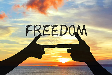 FREEDOM图片