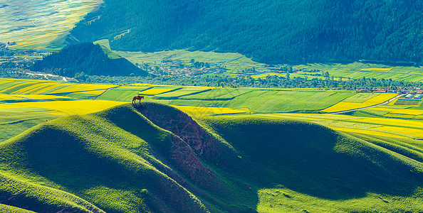 绿色风景草原地貌背景