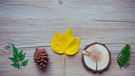 树叶纹理秋天黄色叶子素材背景