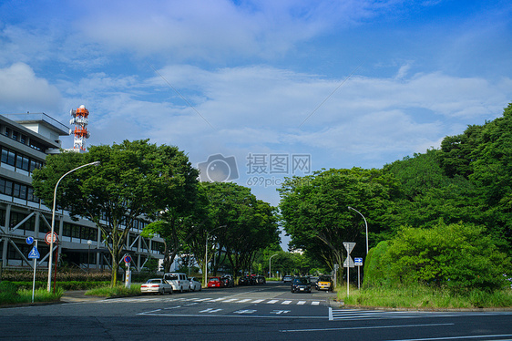 名古屋马路图片