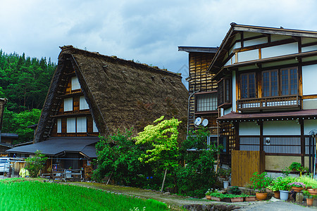 日本白川乡的夏日背景