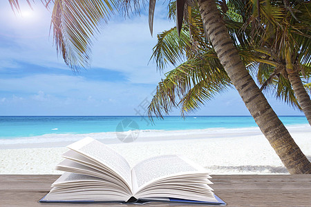 椰子棕榈树海边椰子树下的书设计图片