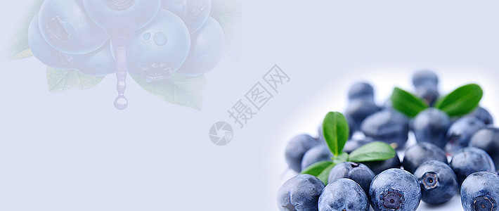车厘子水果海报蓝莓水果banner设计图片