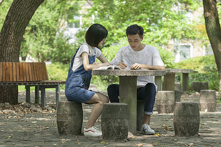 学校绿荫学生们一起认真学习知识图片