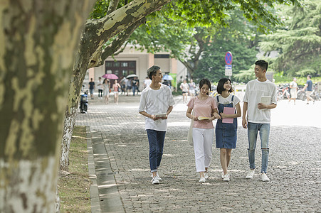 学习交流学校教室林荫同学们交流学习友谊背景