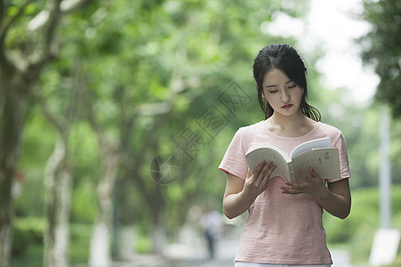 学校林荫路上同学看书学习背景图片