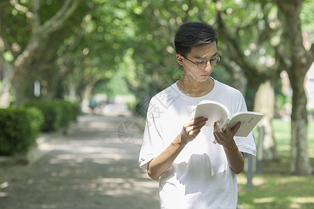 学校林荫道上男同学下课学习看书背景图片