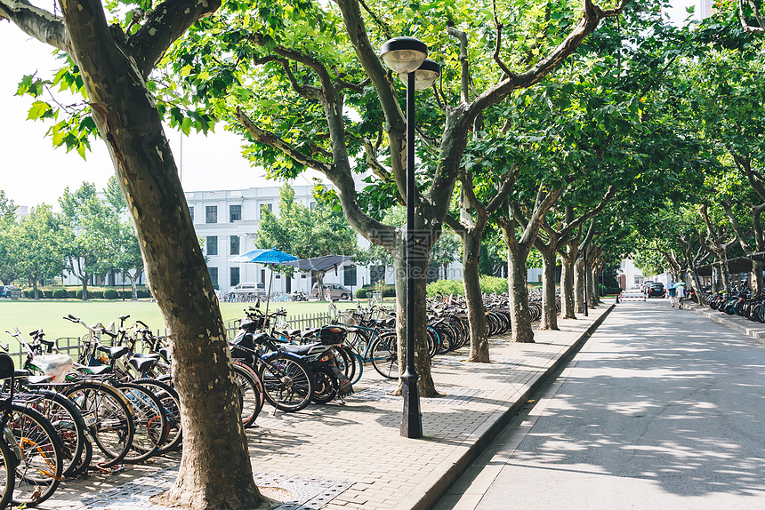 大学校园环境图片