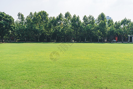 玩中学大学校园环境背景