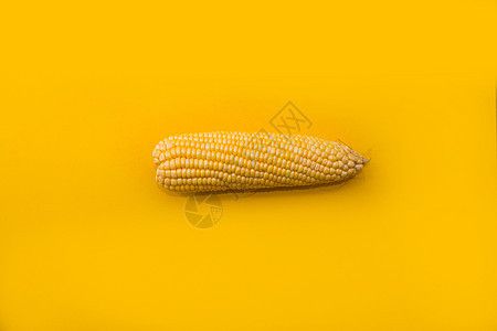 黄色背景上的黄色玉米背景图片