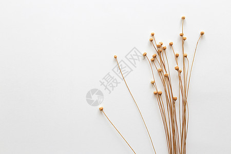 碎花壁纸照片 碎花壁纸背景 碎花壁纸摄影图片下载 摄图网 碎花壁纸照片 碎花壁纸背景 碎花壁纸摄影图片下载 摄图网