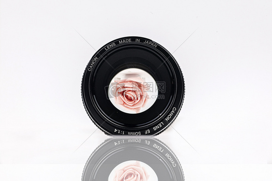 镜头里有一朵玫瑰花图片