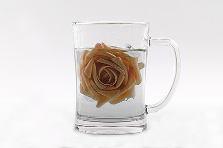 一朵鲜花玫瑰掉入杯中图片