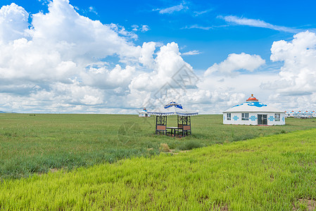 金帐汗蒙古部落内蒙古草原背景