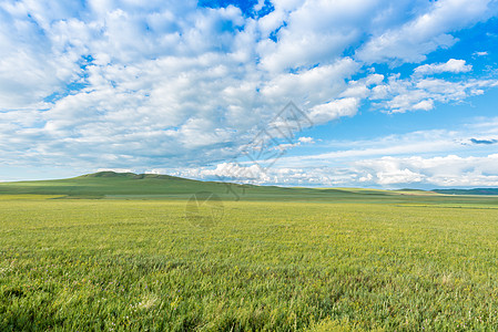 木栈道乌拉盖草原背景