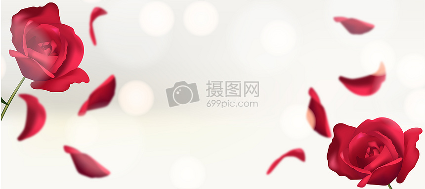 情人节玫瑰花背景素材图片素材 正版创意图片 摄图网 情人节玫瑰花背景素材图片素材 正版创意图片 摄图网