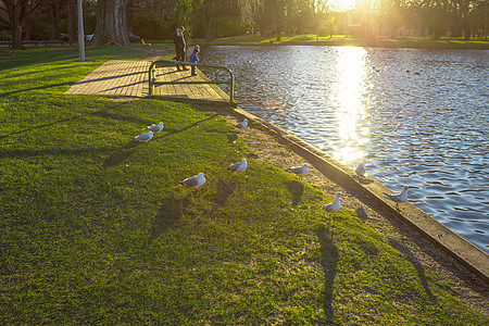 阳光午后海格力公园图片