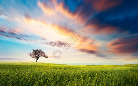草原上唯美的风光背景图片