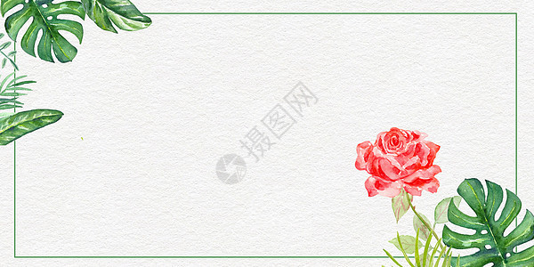 绿叶红花背景图片