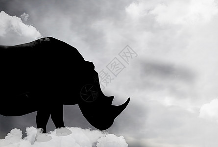 灰犀牛犀牛创意高清图片